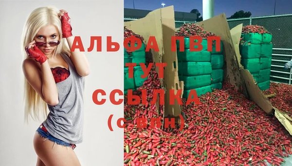 молекула духа Воткинск