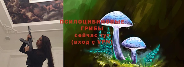 ALPHA-PVP Всеволожск