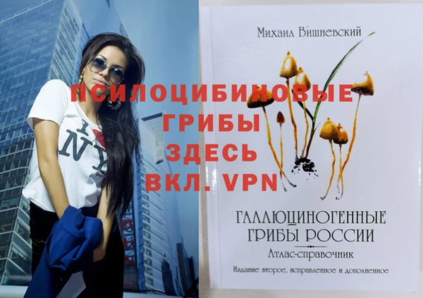 мет Балахна
